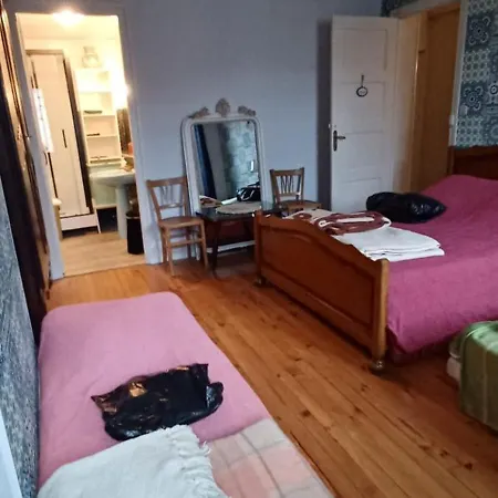 Chez Virginie - Du Bourg Homestay Lourdes